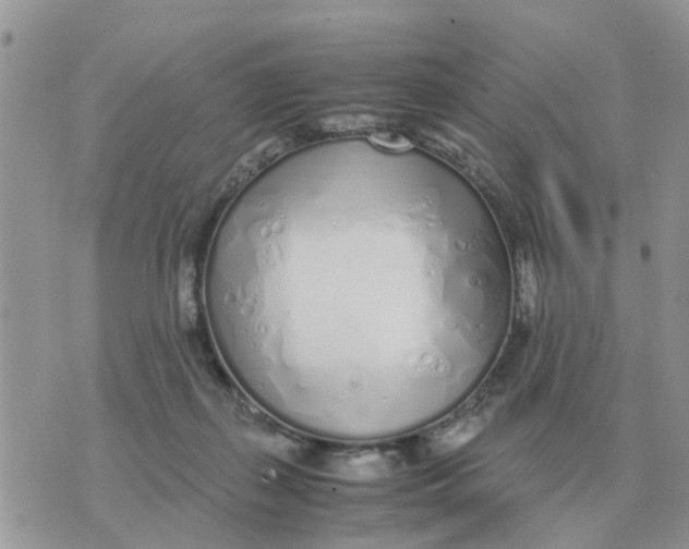 X0000070430267200606302134