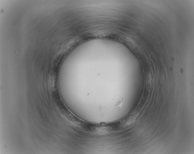 X0000070430268200606302134