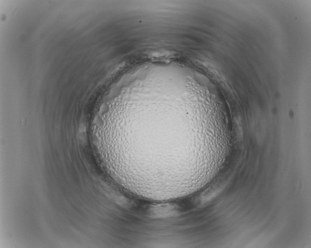 X0000070430269200606302134