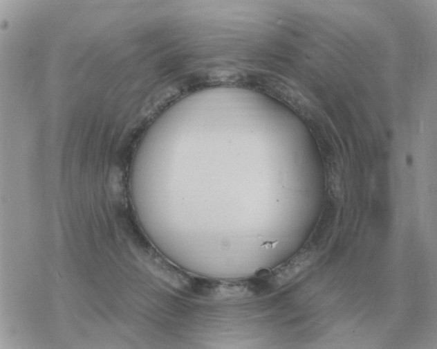 X0000070430270200606302134