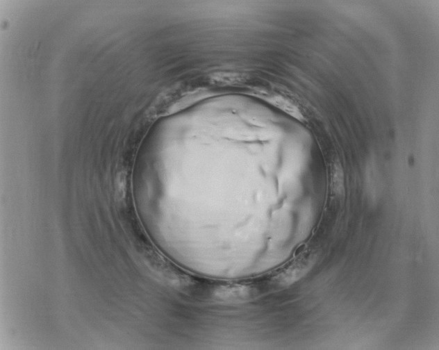 X0000070430271200606302134