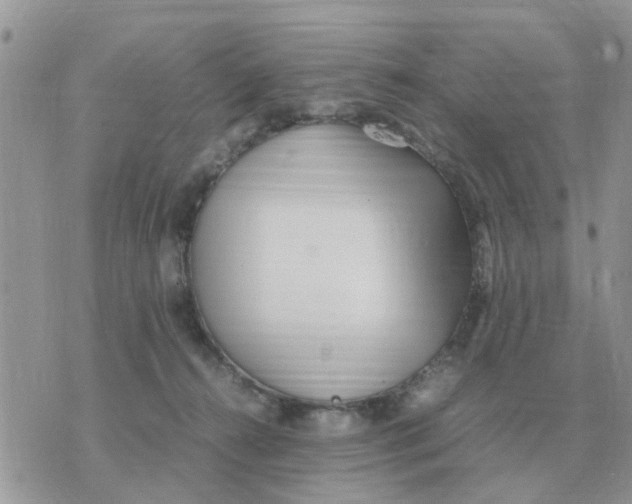 X0000070430272200606302134