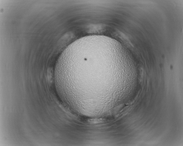 X0000070430273200606302134