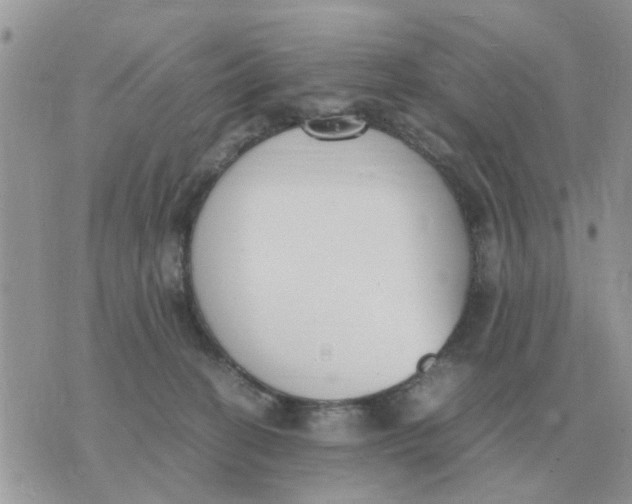 X0000070430274200606302134