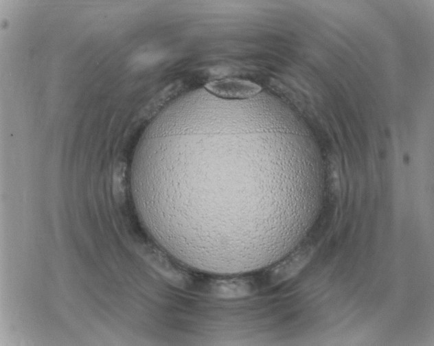 X0000070430275200606302134