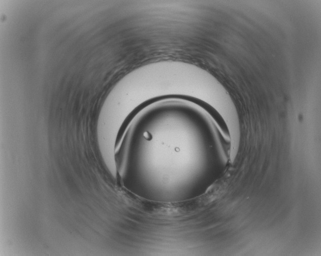 X0000070430276200606302134