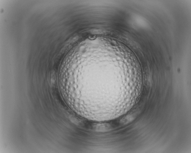 X0000070430277200606302134