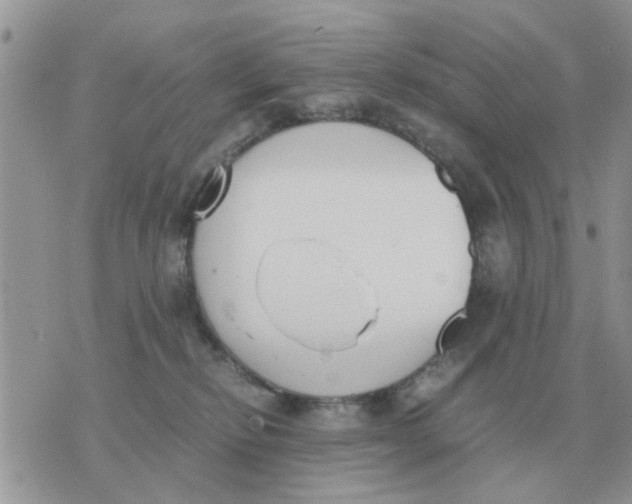 X0000070430278200606302134