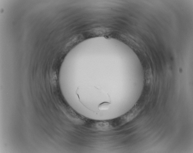 X0000070430279200606302134