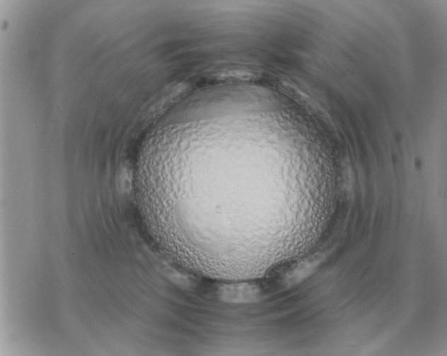 X0000070430281200606302134