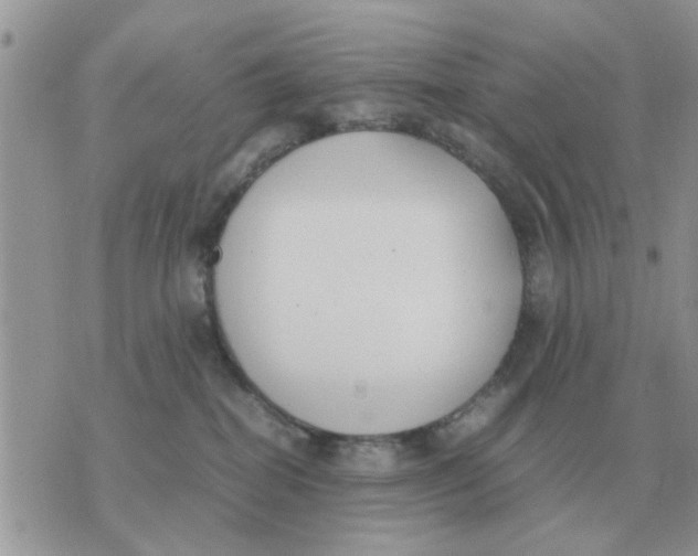 X0000070430282200606302134