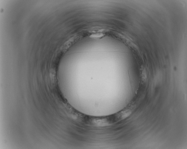 X0000070430283200606302134