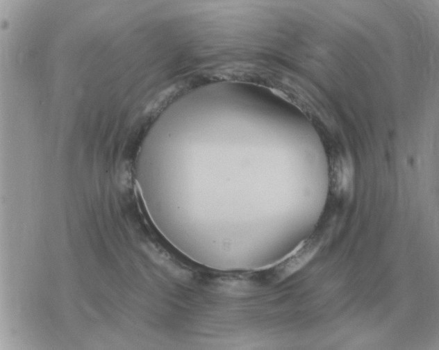 X0000070430284200606302134