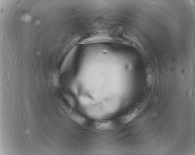 X0000070430285200606302134