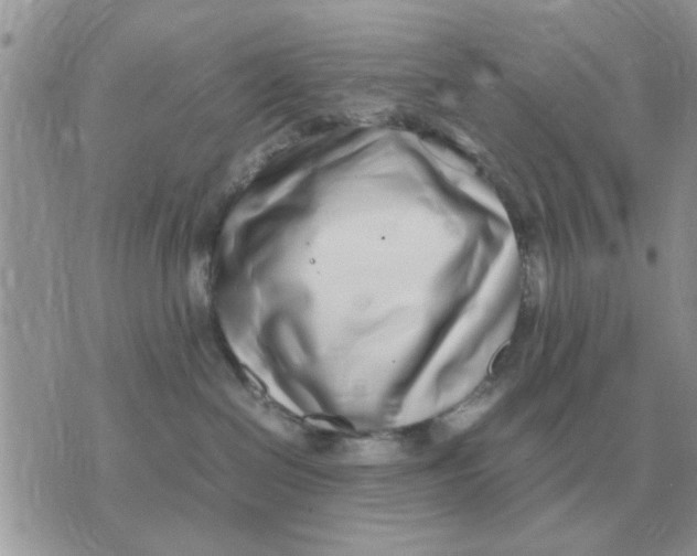 X0000070430286200606302134