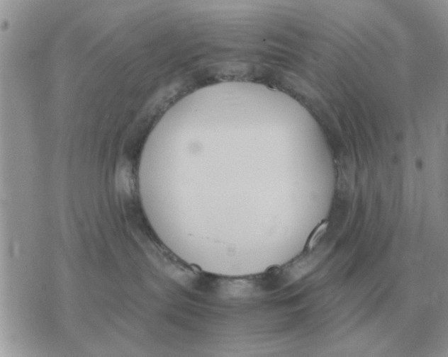 X0000070430287200606302134