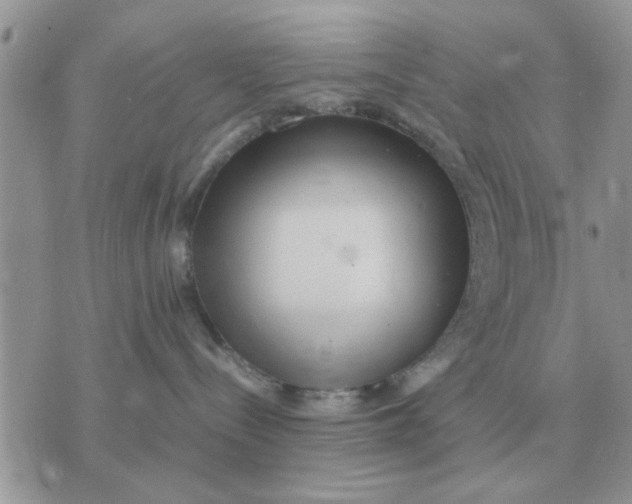 X0000070430288200606302134