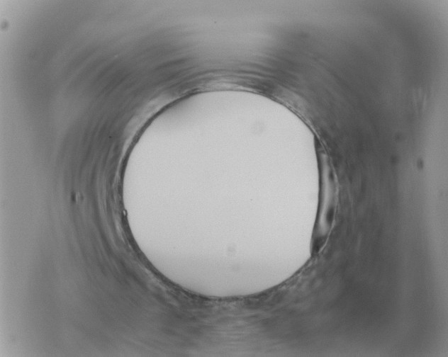 X0000070430289200606302133