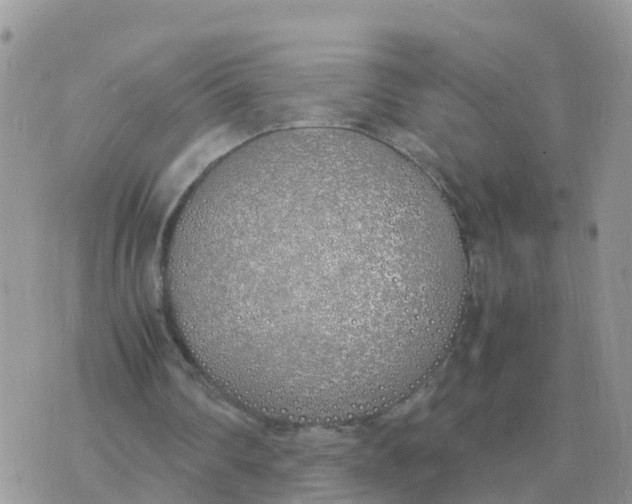 X0000070430290200606302133