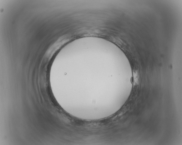 X0000070430291200606302133