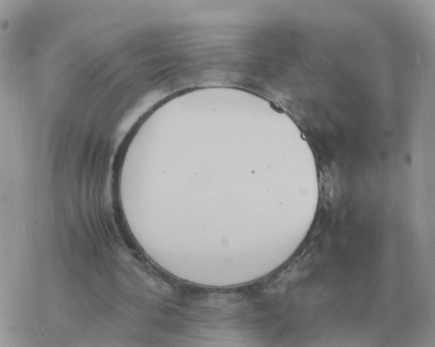 X0000070430292200606302133