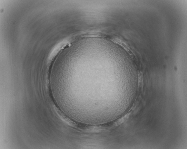 X0000070430293200606302133