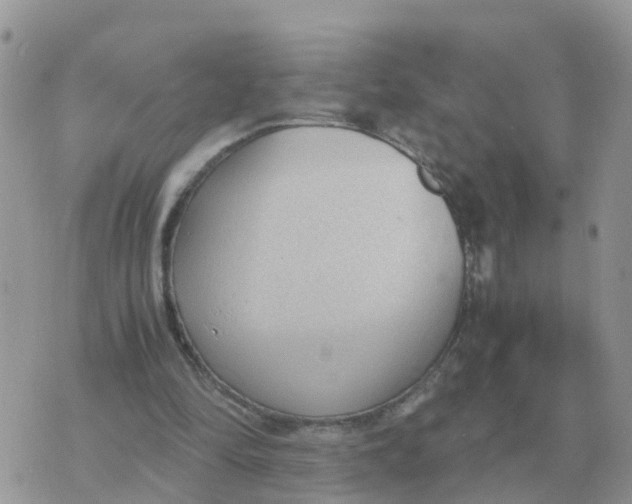 X0000070430294200606302133