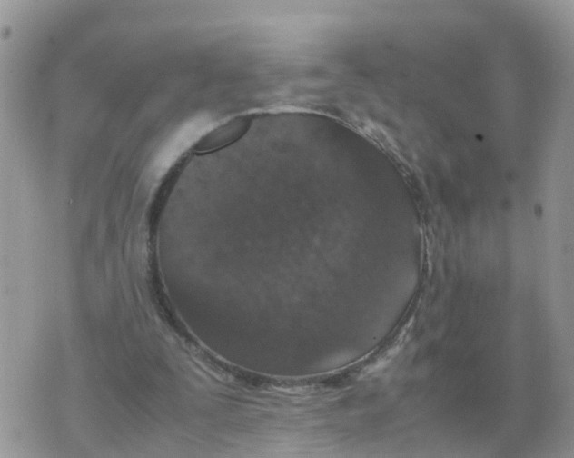 X0000070430295200606302133