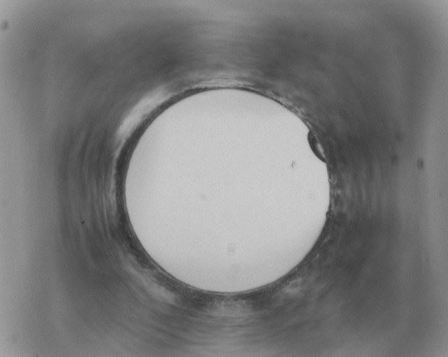 X0000070430296200606302133