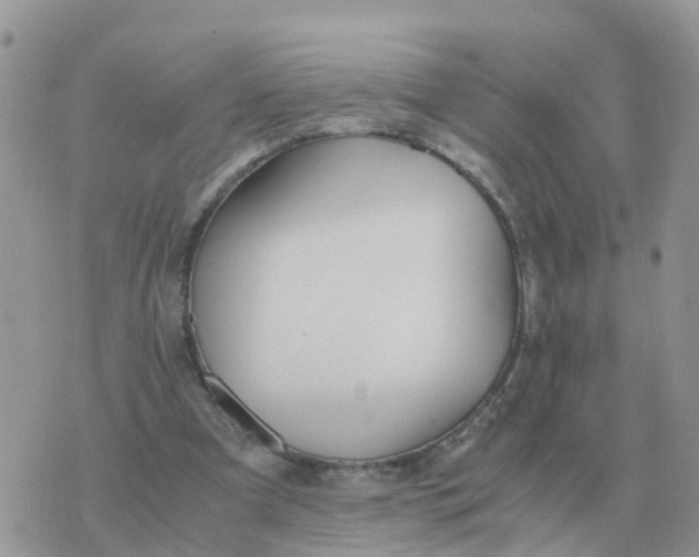 X0000070430297200606302133