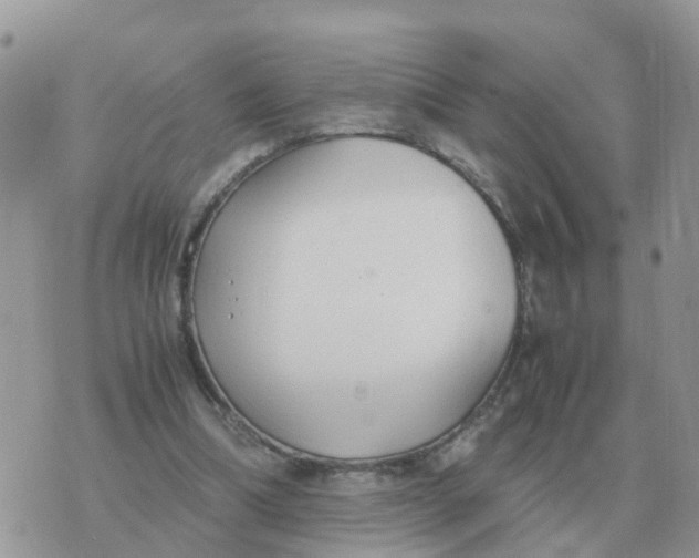 X0000070430298200606302133