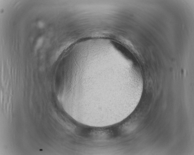 X0000070430299200606302133