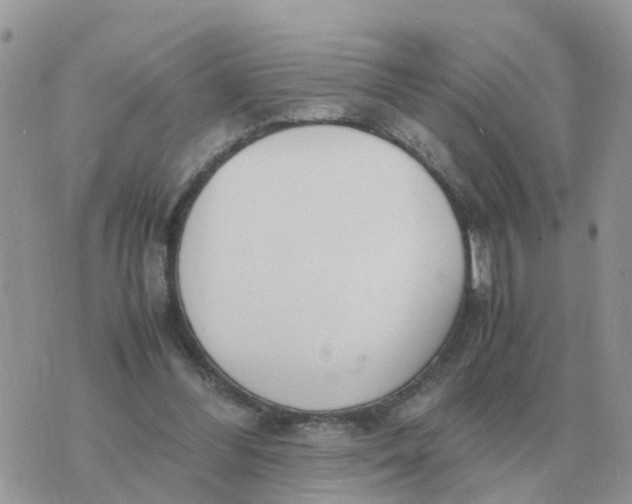 X0000070430300200606302133