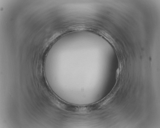 X0000070430301200606302133