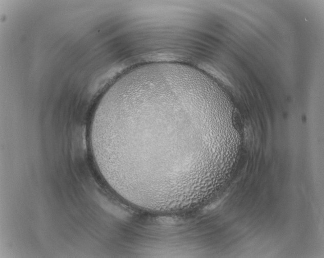 X0000070430302200606302133