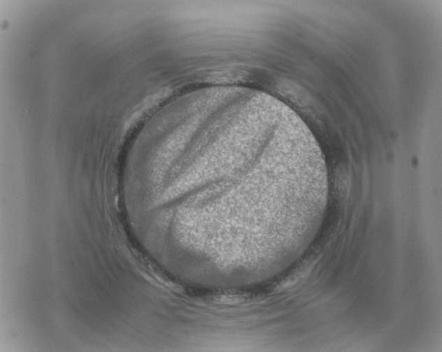 X0000070430303200606302133