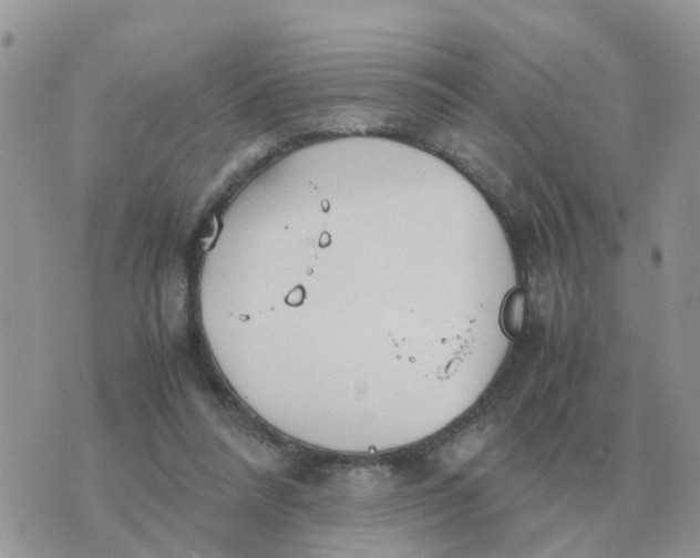 X0000070430304200606302133