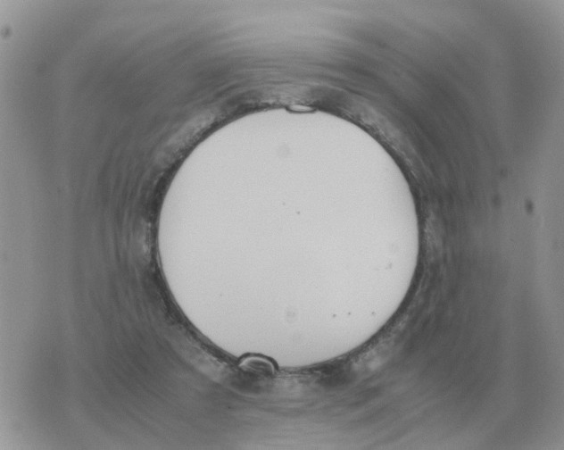 X0000070430305200606302133