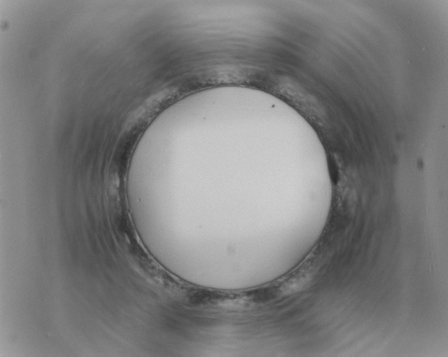 X0000070430306200606302133