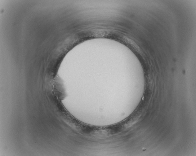 X0000070430307200606302133