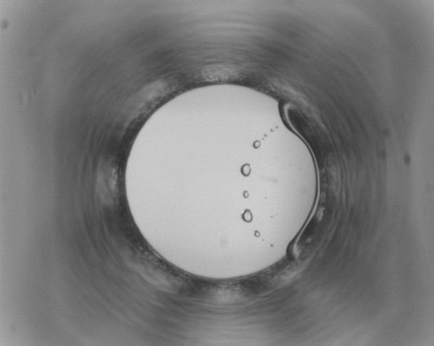 X0000070430308200606302133