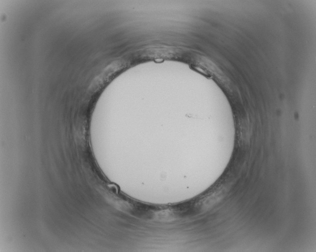 X0000070430309200606302133