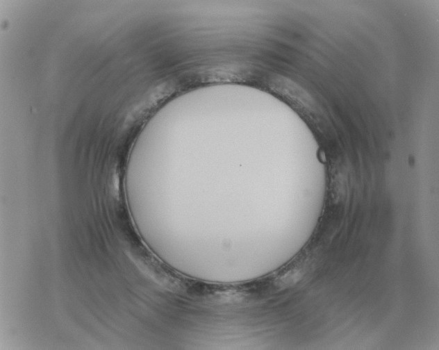 X0000070430310200606302133