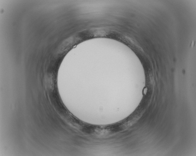 X0000070430311200606302133