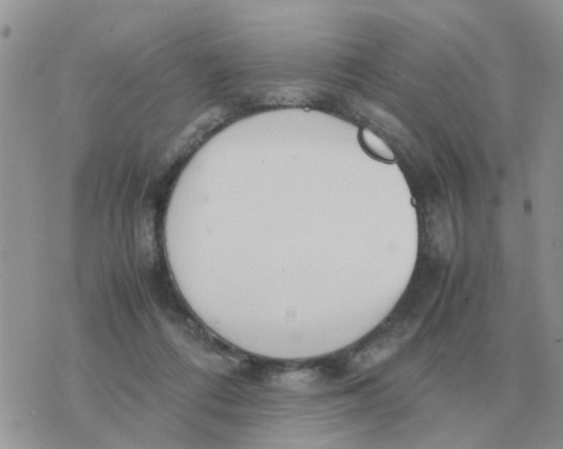 X0000070430312200606302133