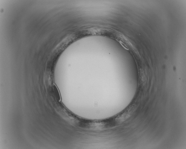 X0000070430313200606302133