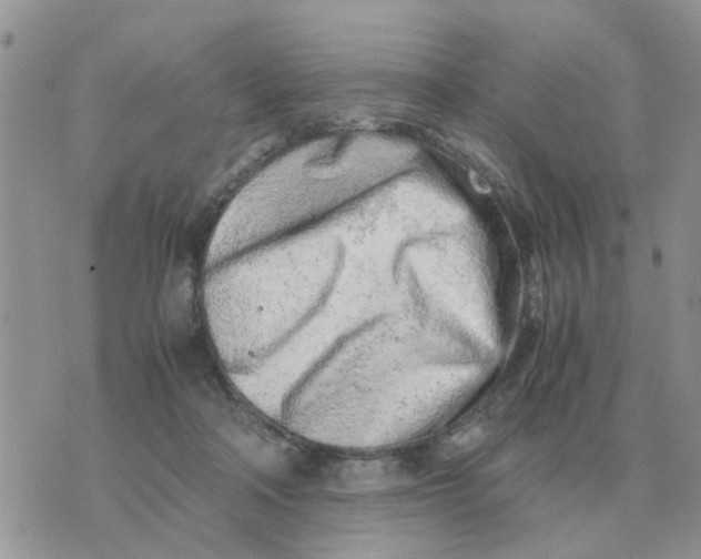 X0000070430314200606302133