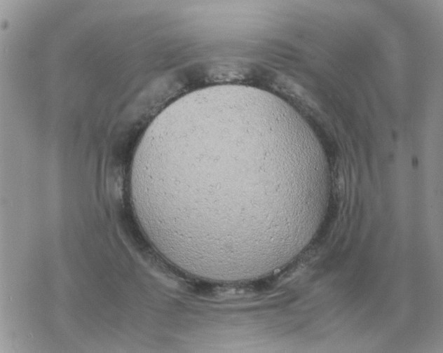 X0000070430315200606302133