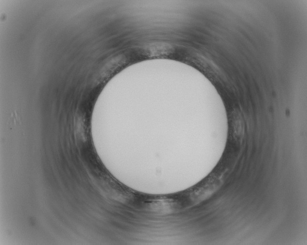 X0000070430316200606302133