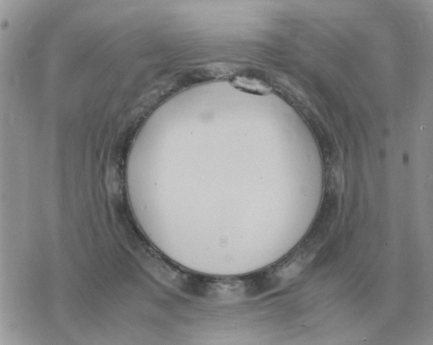 X0000070430317200606302133